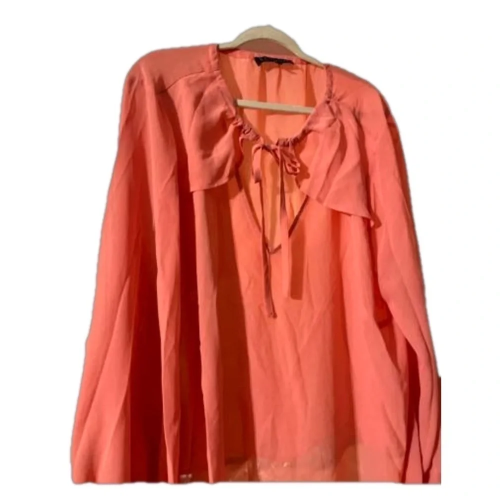 NWT Eloquii light peach  sheer lantern sleeves blouse  size 24 🧡OB red black - Picture 3 of 5